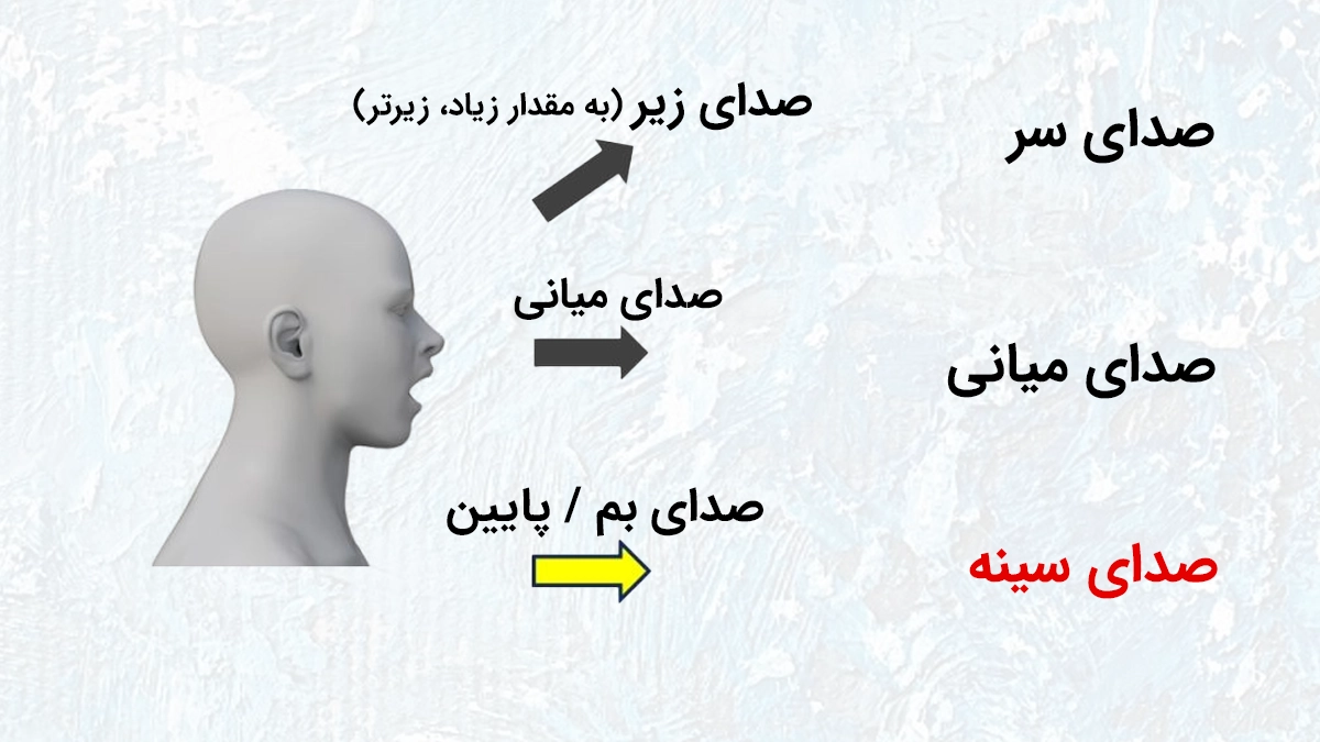 بررسی تفاوت صدای سر و سینه در آواز